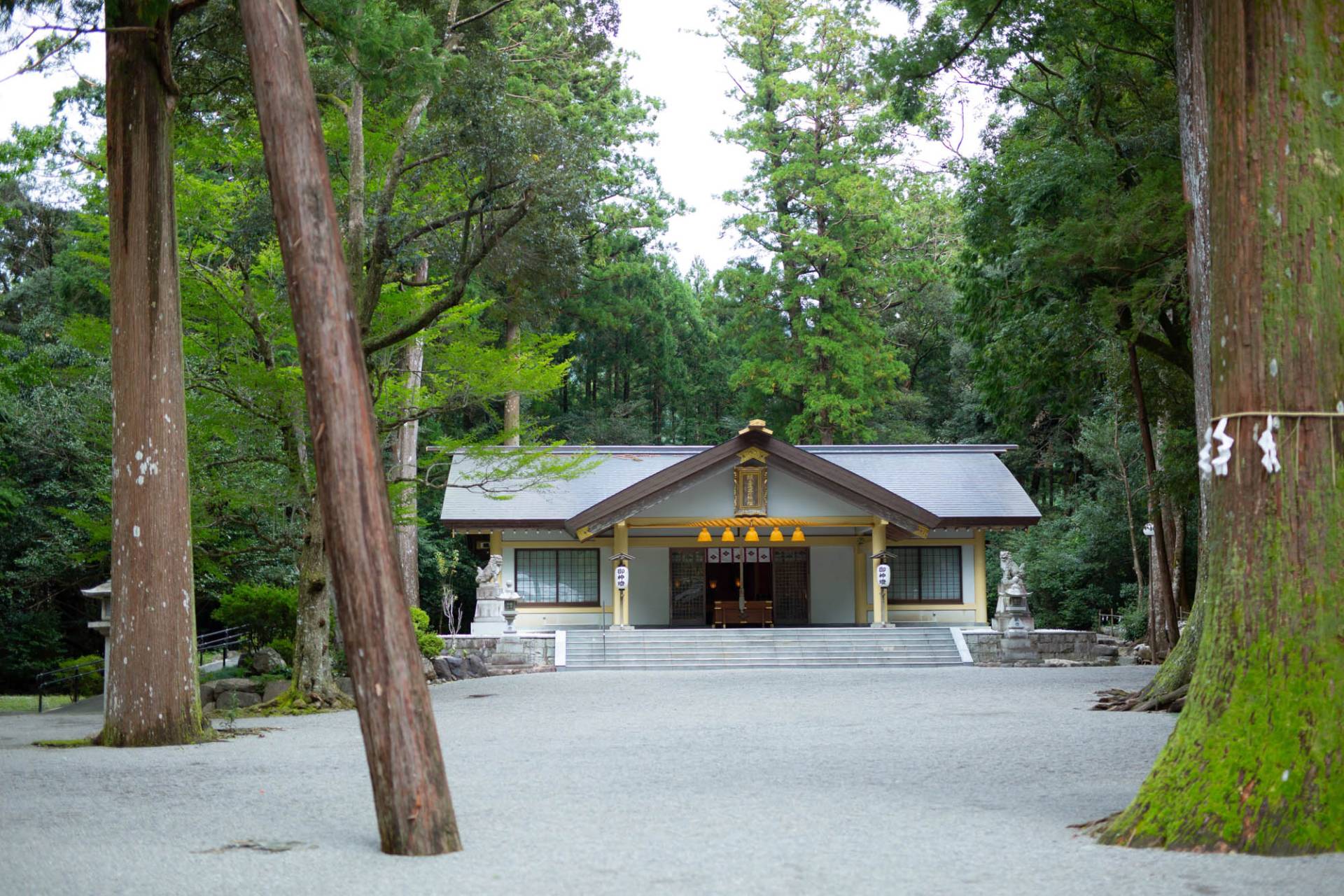 日本唯一「頭の神様」頭之宮四方神社の真相！ご利益と参拝秘訣徹底解説