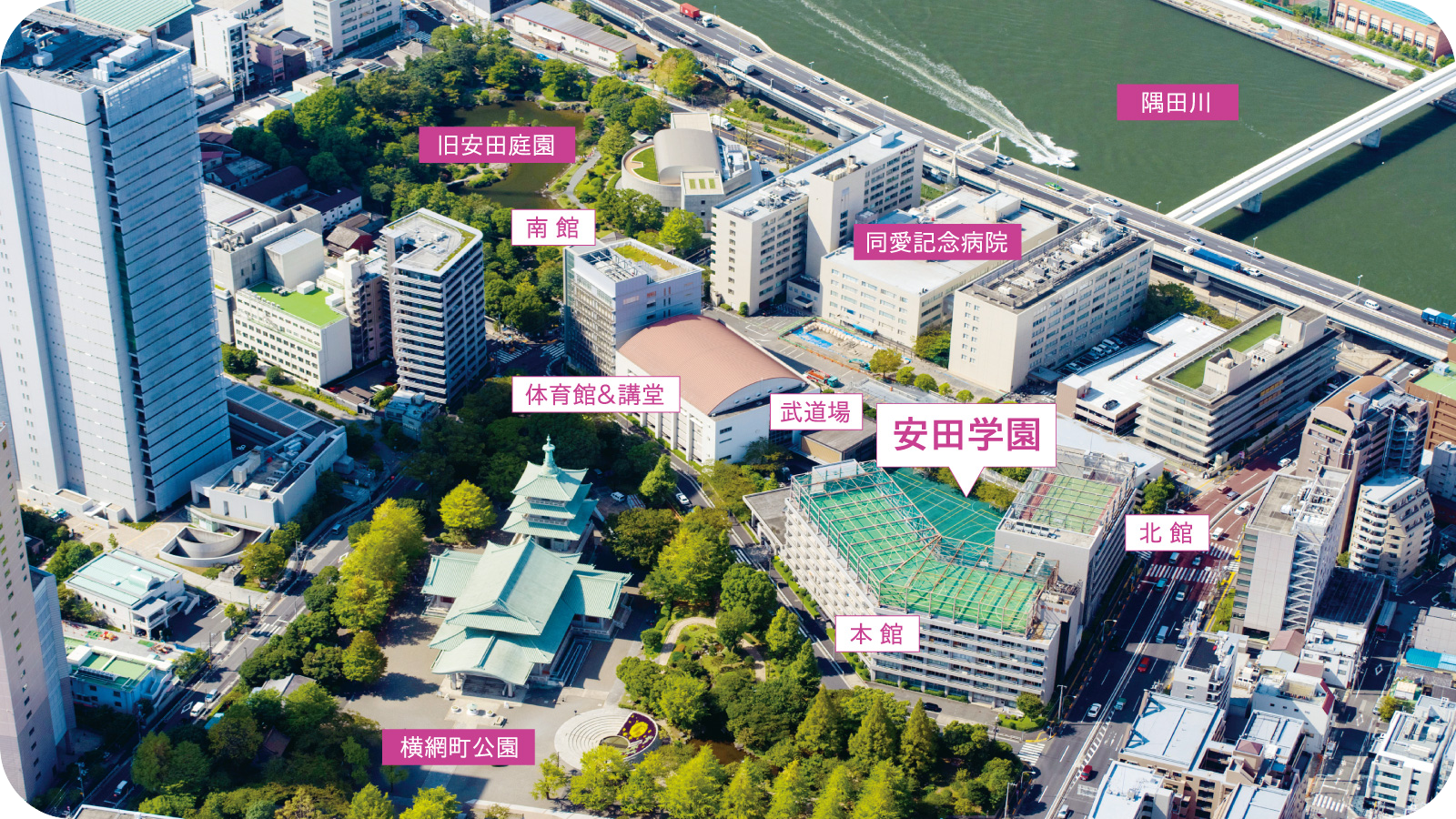 安田学園が難関大実績急伸で大躍進！評判と偏差値の真相を徹底解剖