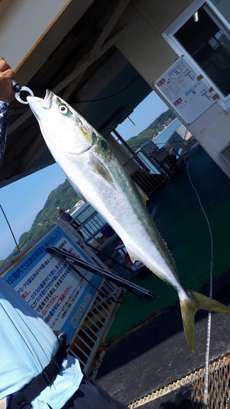【2026最新】海釣り公園の釣果速報！今一番釣れる魚種と爆釣の秘訣を徹底解説