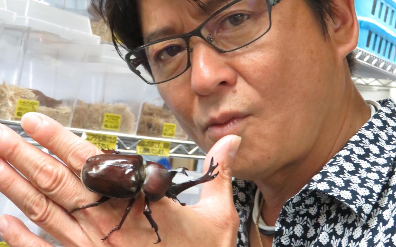 哀川翔のカブトムシ愛はなぜ規格外か？ギネス記録と現在の飼育法