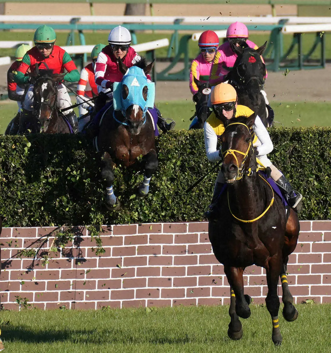 中山大障害の真実！過酷な4100Mが生むドラマと歴代名馬の激闘録