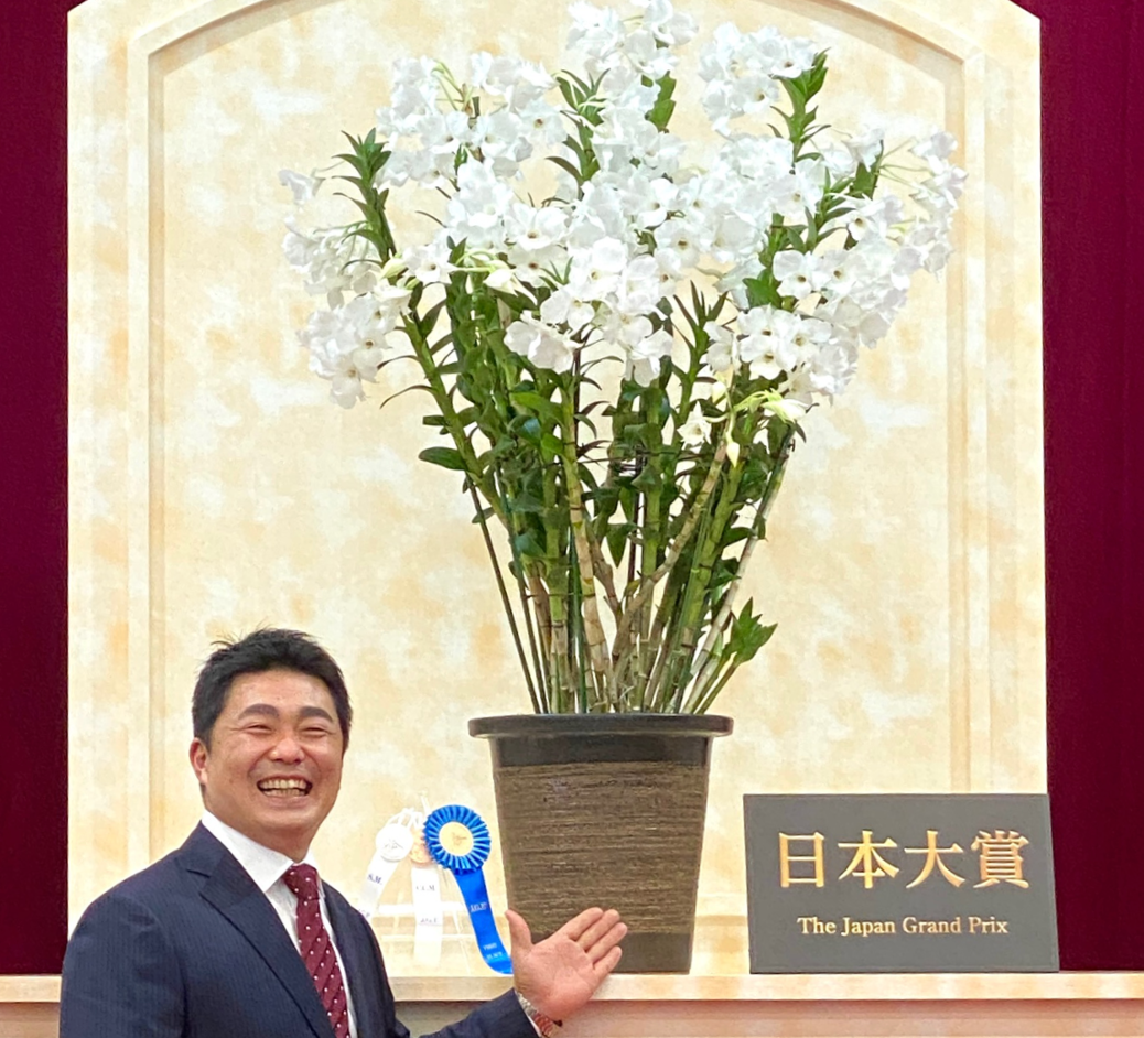 座間洋らんセンターの評判は？胡蝶蘭直売の価格と口コミの真相を追う
