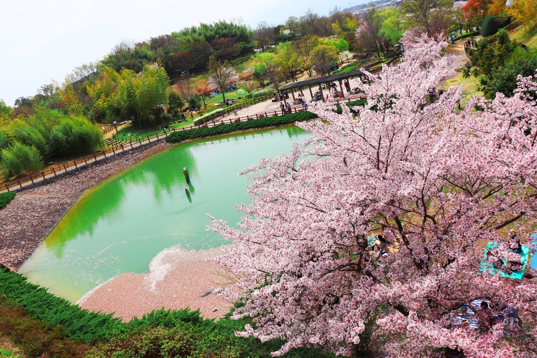 奈良・竹取公園の魅力を徹底解剖！そり滑りや混雑回避の最新事情