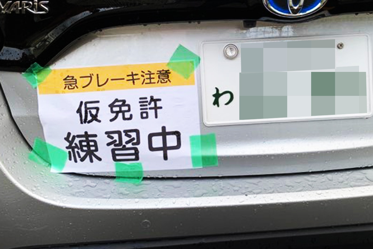 仮免許練習中の路上ルール総点検！同乗者条件と保険・取消リスクの真相