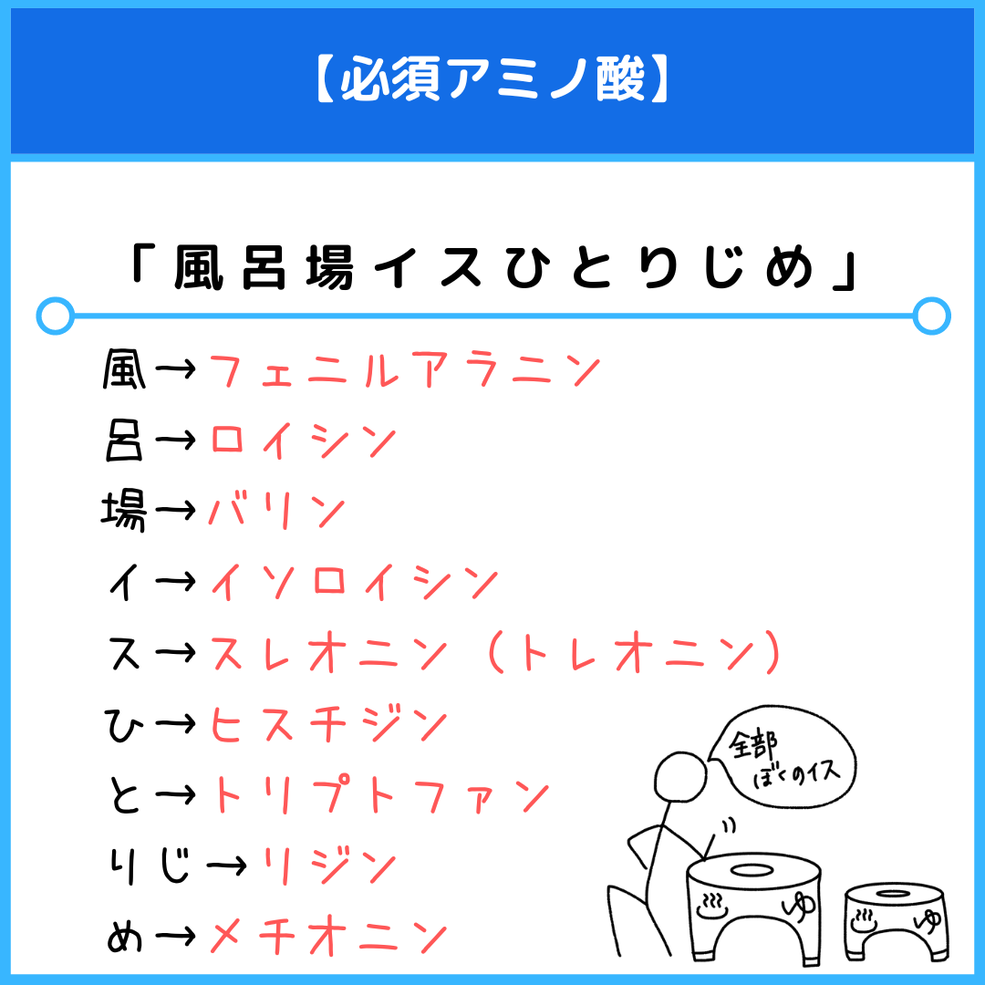 必須アミノ酸の覚え方決定版！最強語呂合わせ9選と国家試験攻略法