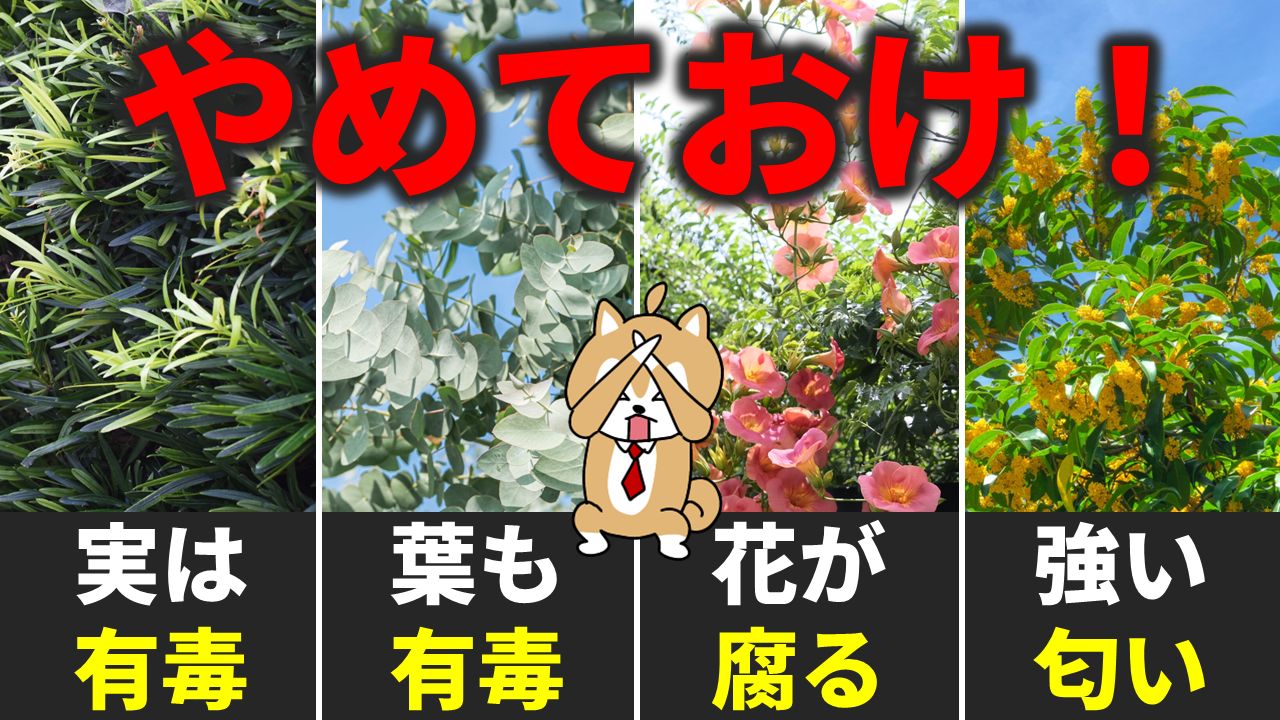 【警告】庭に絶対植えてはいけない危険な植物と後悔しない防除法