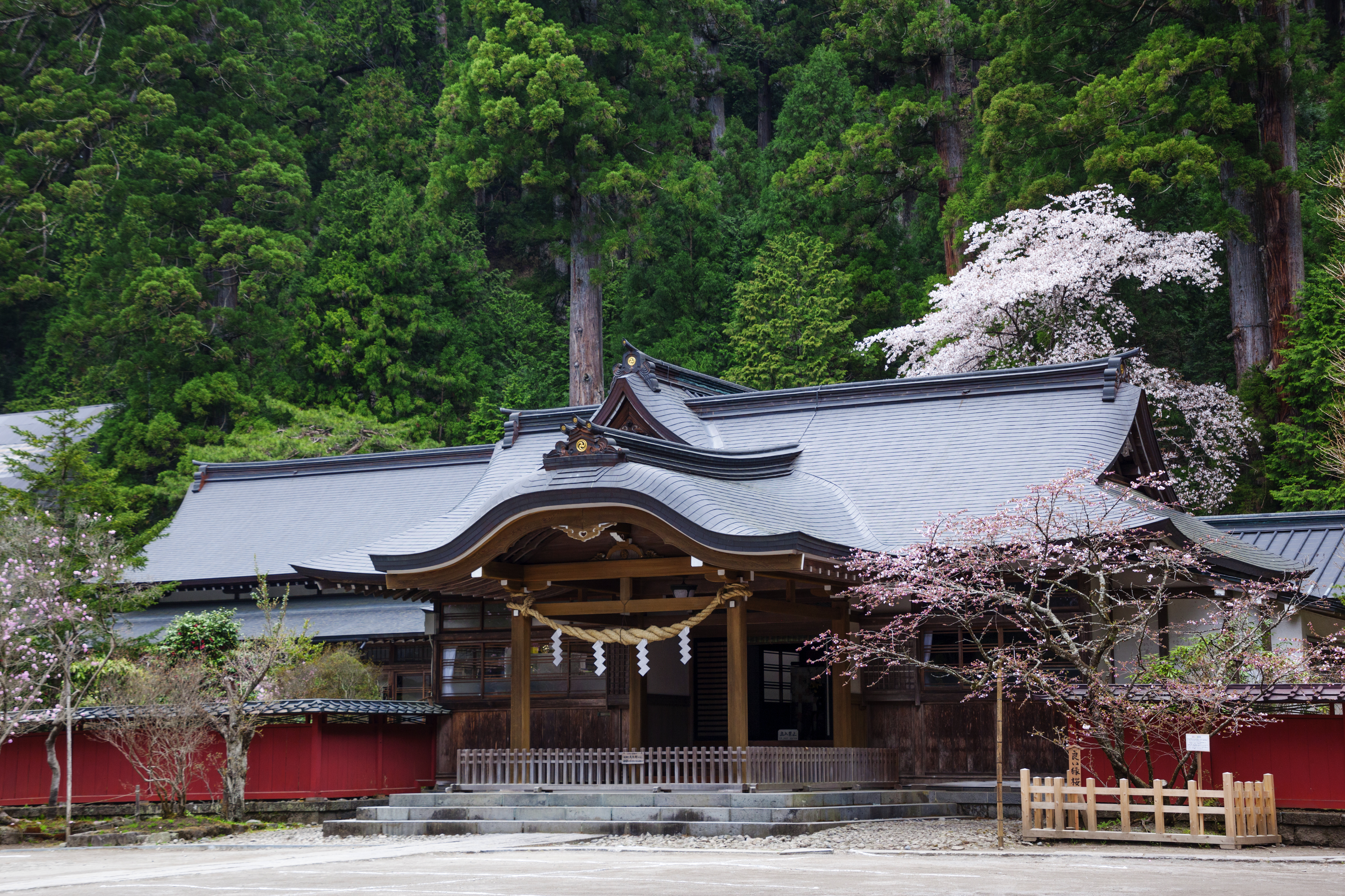 日光二荒山神社が最強縁結びと呼ばれる真相とご利益・限定御朱印ガイド