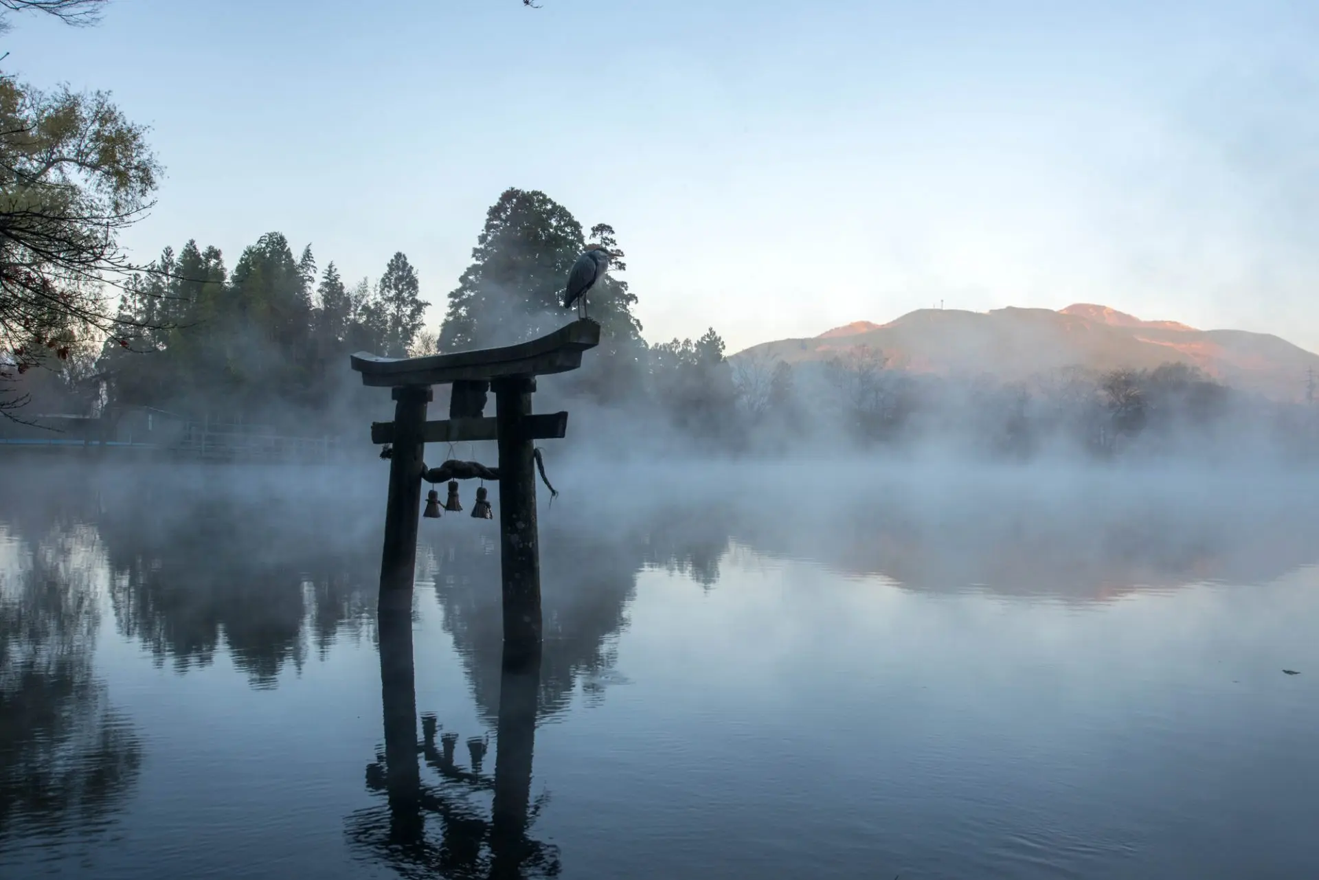由布院・金鱗湖の朝霧と温泉の真相は？絶景巡りと2026最新攻略