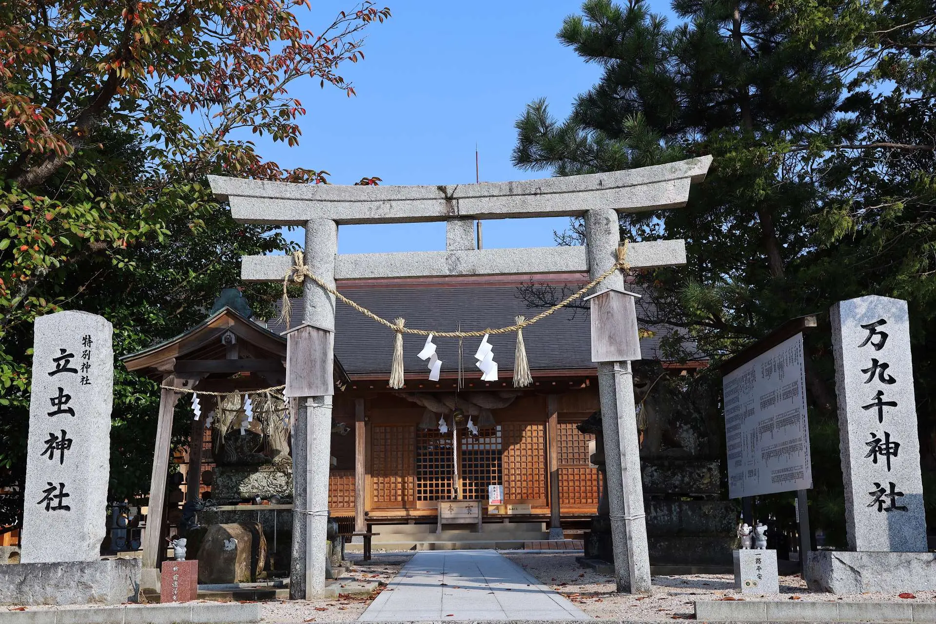 なぜ神々は最後に万九千神社へ集うのか？驚きのご利益と参拝順序を徹底解説