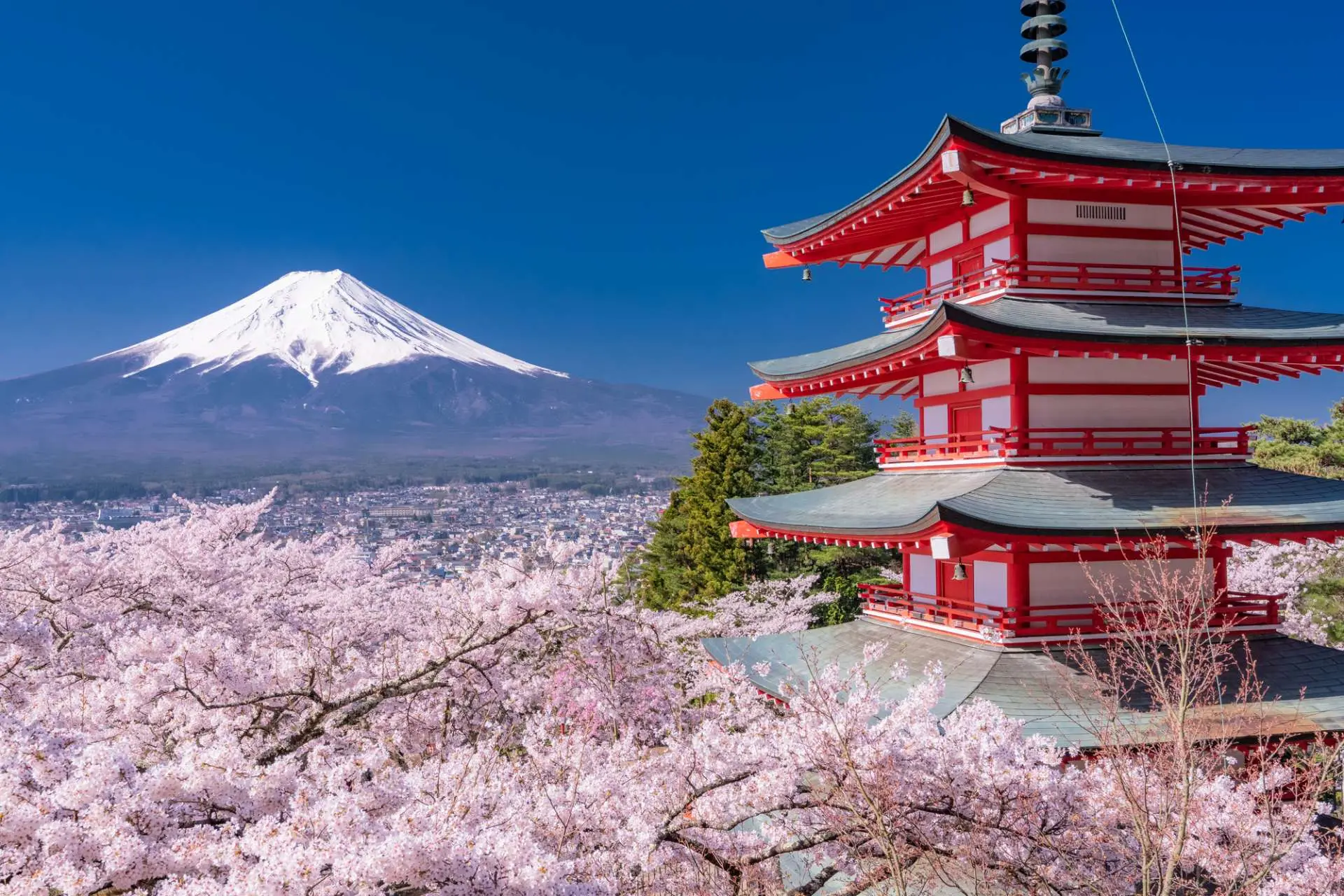 日本の観光地2026最新事情！定番と穴場の格差＆外国人殺到の裏側