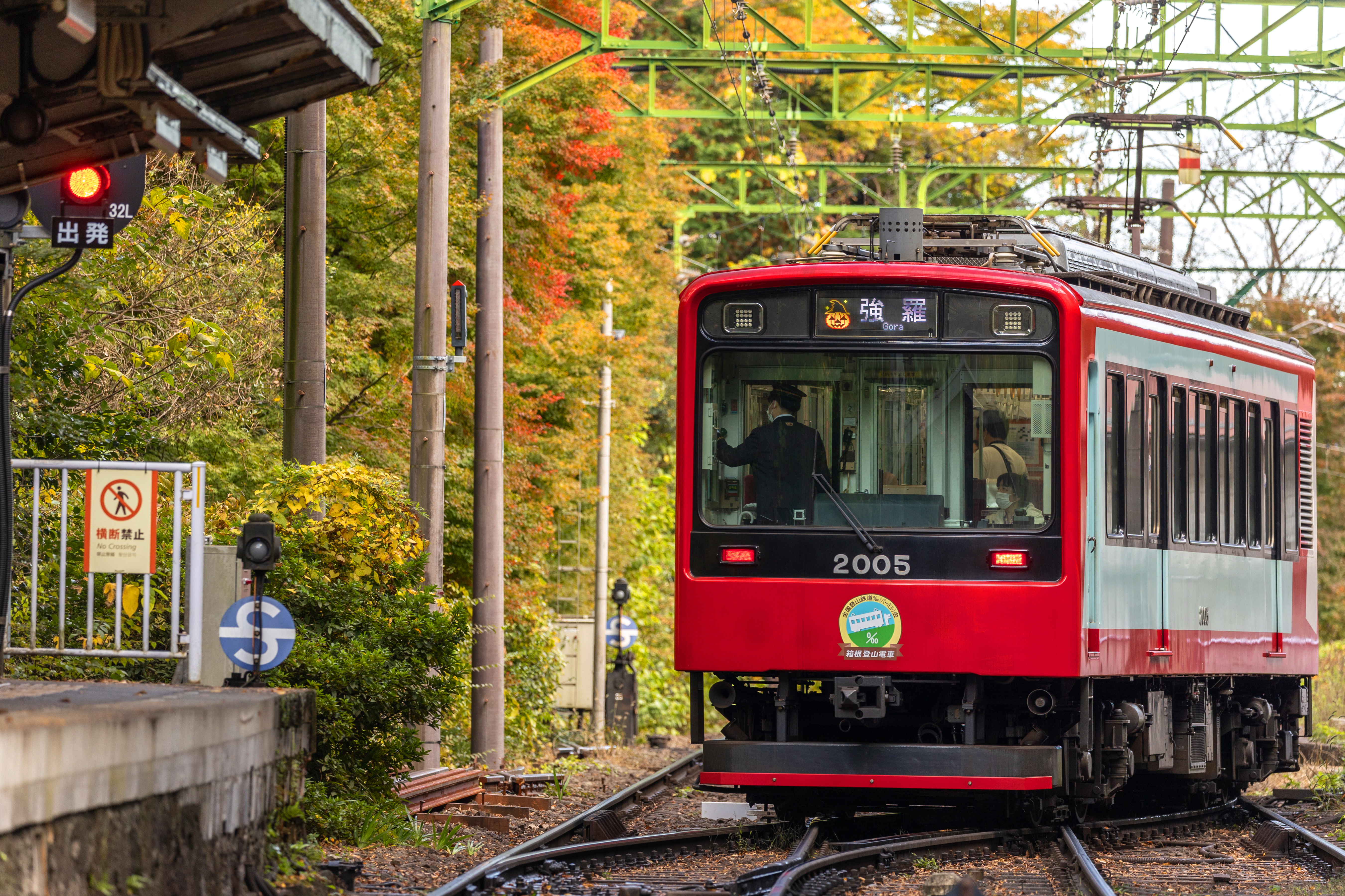 箱根登山鉄道の完全攻略2026！絶景と混雑回避の裏ワザを徹底解説