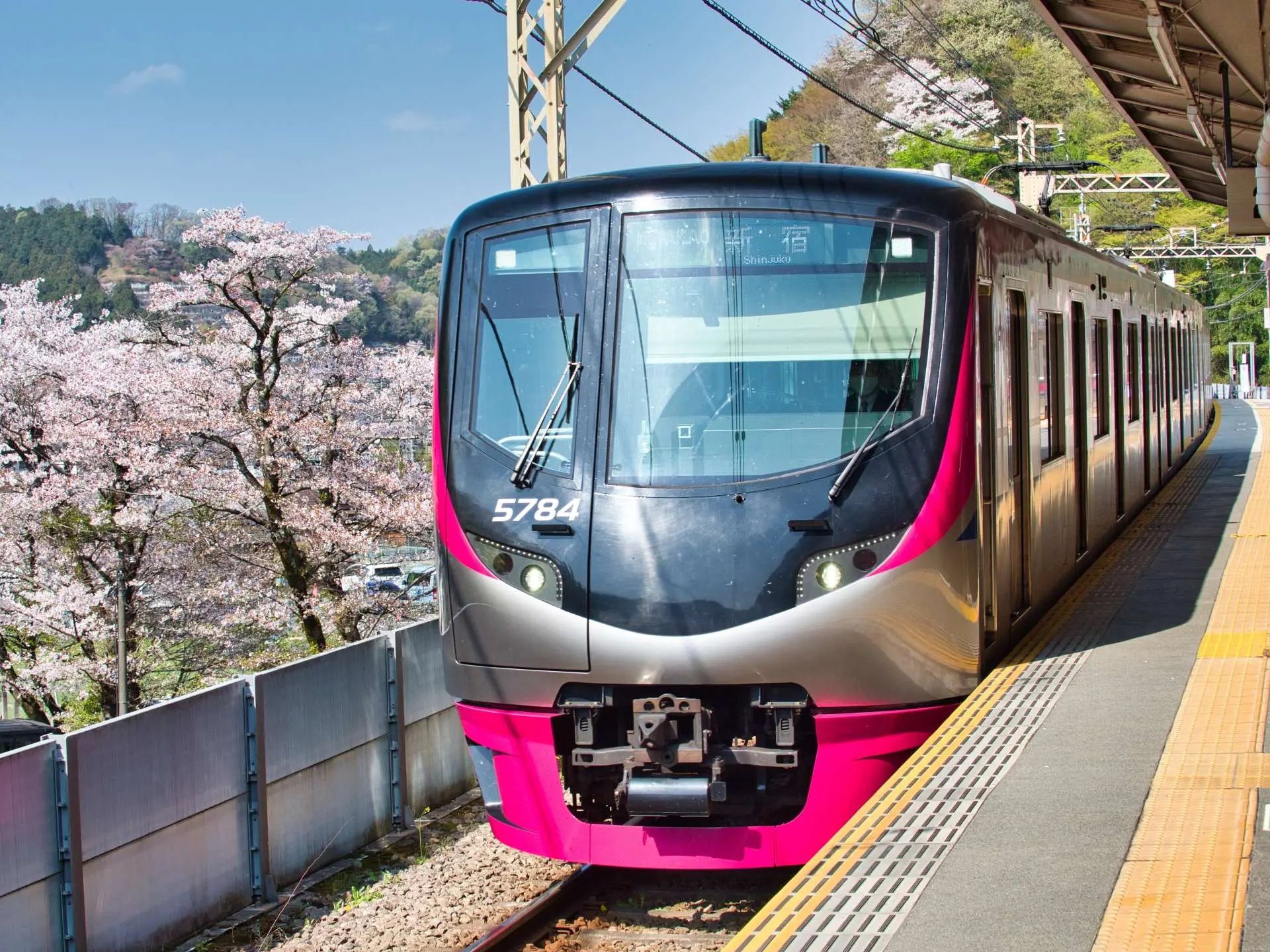 Mt. Takao号の予約と停車駅を徹底解説！料金や京王ライナーとの違い