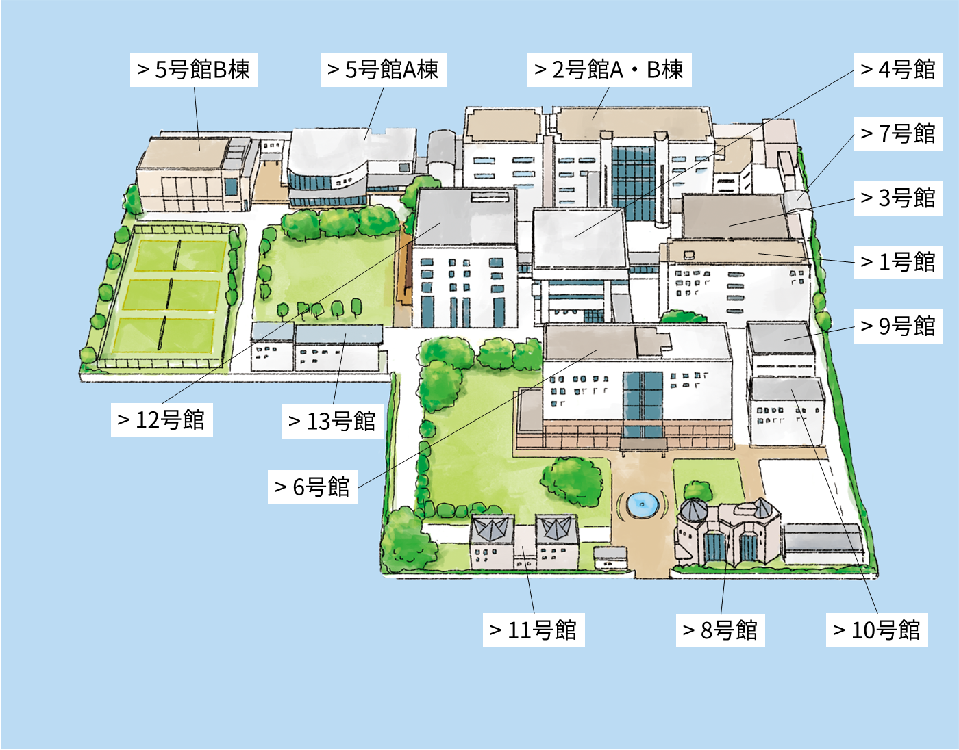 女子栄養大学坂戸キャンパスの評判と2026年共学化の真相を徹底追及