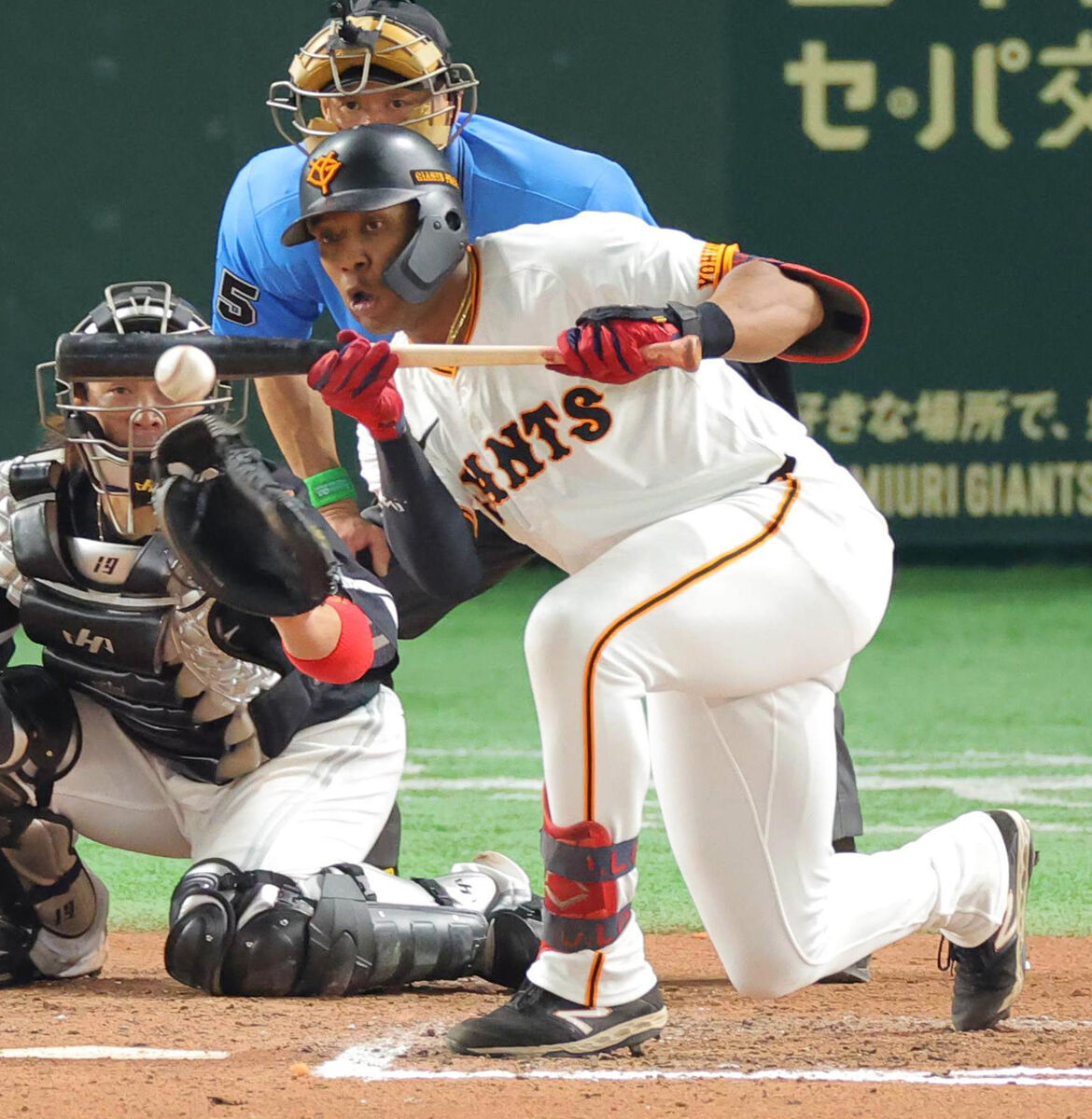 なぜ阿部巨人はバントを多用するのか？采配の真相と得点期待値を徹底検証