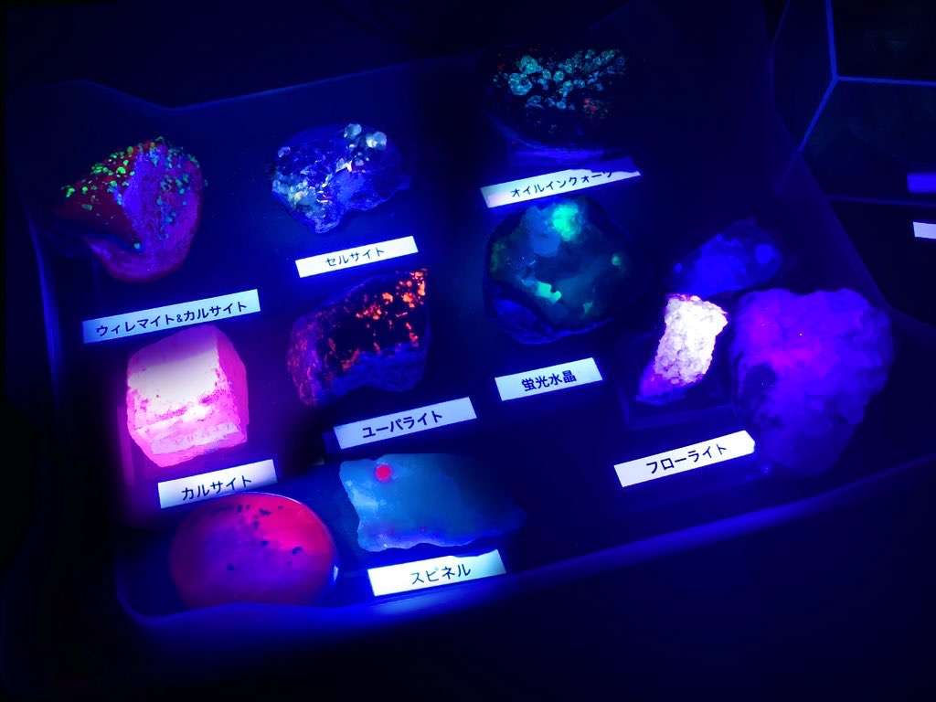 ブラックライトとは？光る仕組み・目への危険性とアニサキス発見の真実