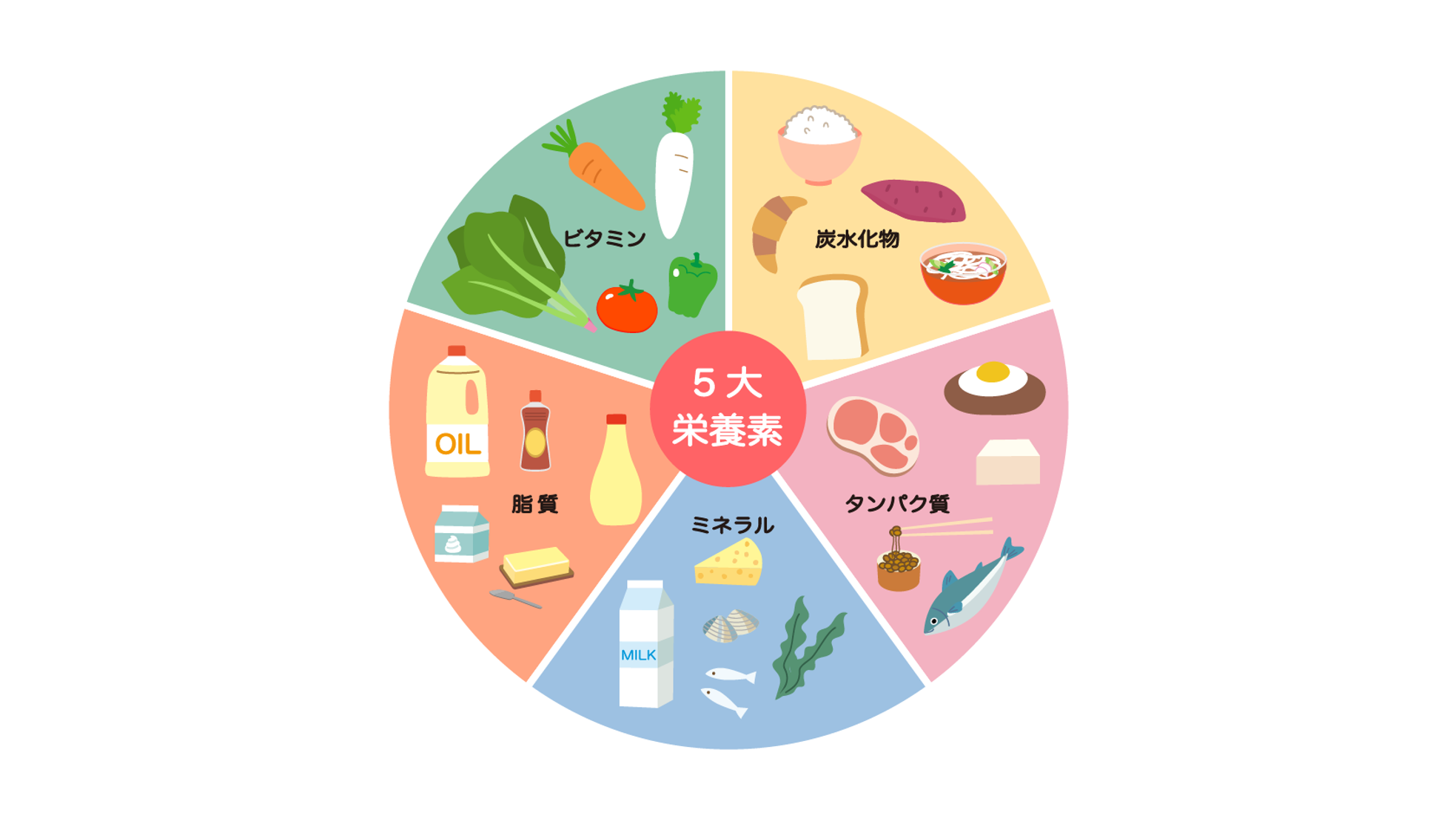 三大栄養素の働きと黄金比率を解剖！挫折しないPfcバランス計算法