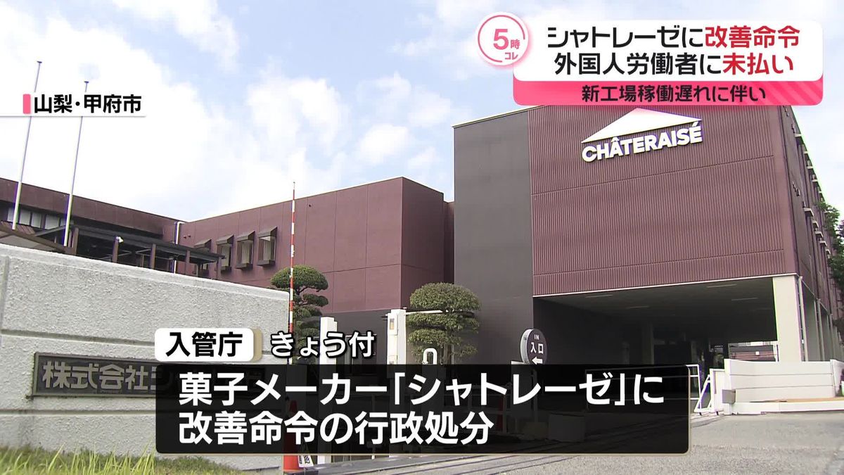 シャトレーゼで何が？自主回収の真相と2026年最新店舗動向を徹底追跡