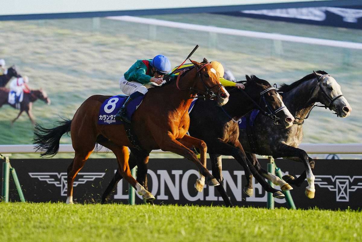 空馬が1着なら馬券はどうなる？騎手なし激走の理由とJraルールを解説