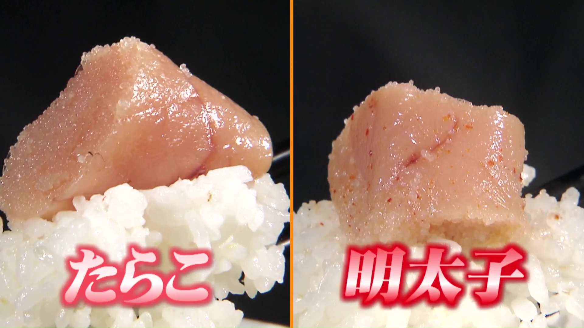 明太子とたらこの違いとは？原料・製法から栄養・使い分けまで徹底解説