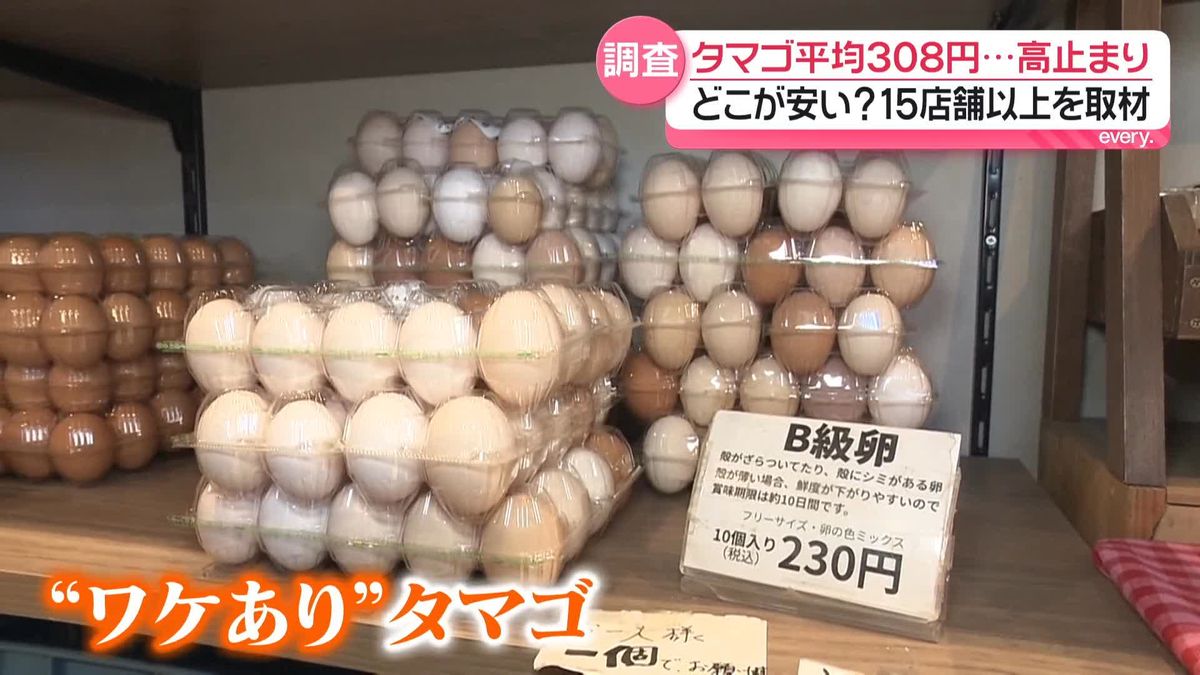 卵はどこが安い？主要スーパーと穴場店の価格・特売日を徹底調査
