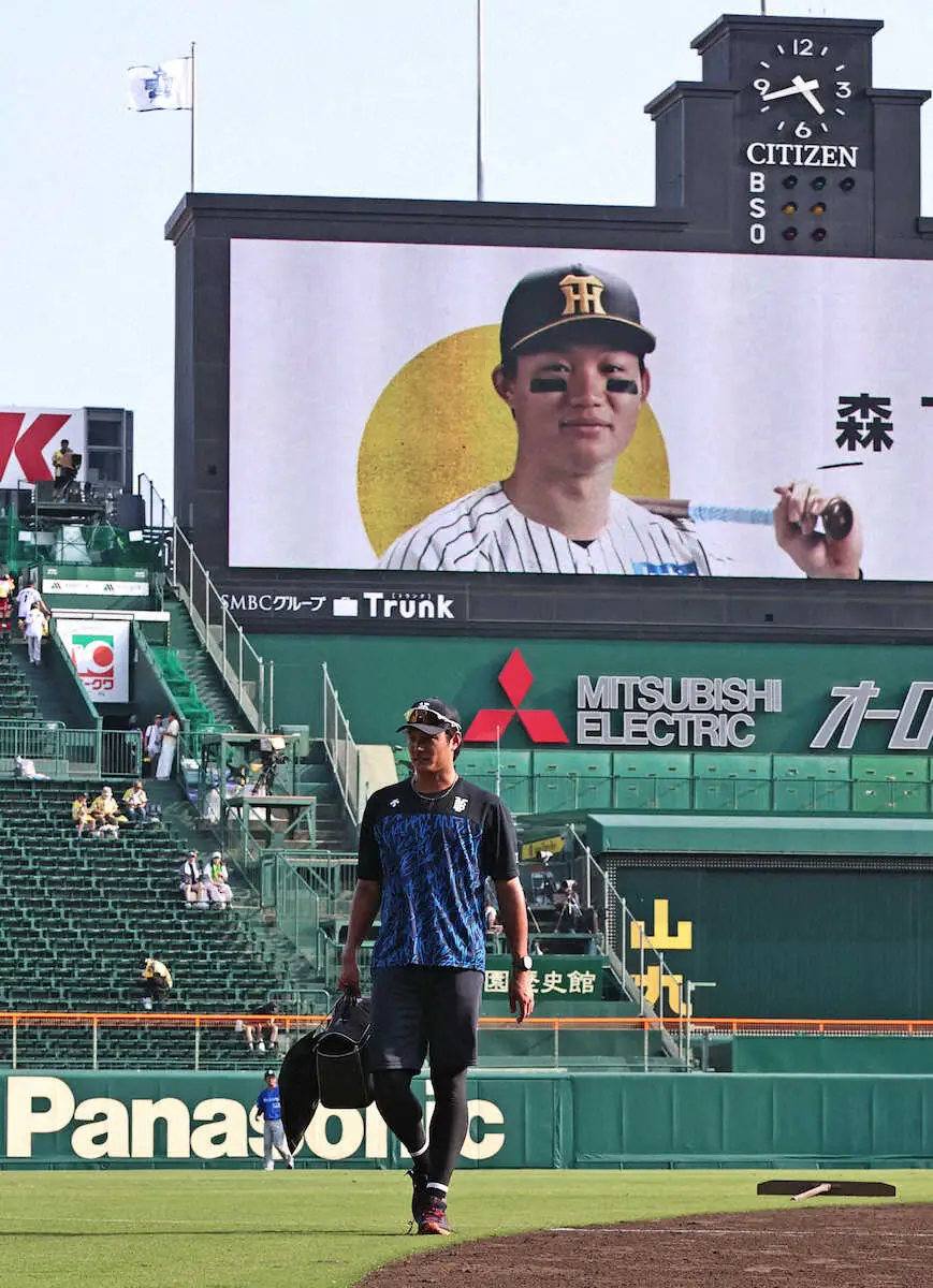 藤浪晋太郎の登板予定と最新成績！剛腕復活と海外評価を徹底検証