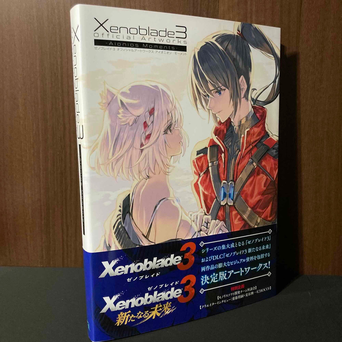 エルレNo.13歌詞の全和訳と意味！9月9日の理由と細美武士の想い