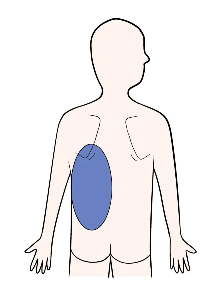 その背中の痛みは心筋梗塞の前兆？筋肉痛と見分ける3つの危険サイン