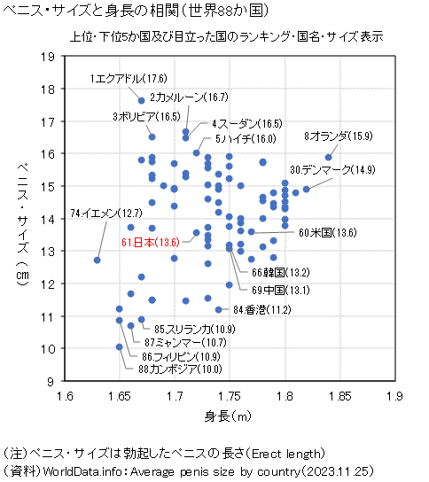 日本人のペニス太さ平均は何Cm？勃起時周径と女性の本音【2026最新】