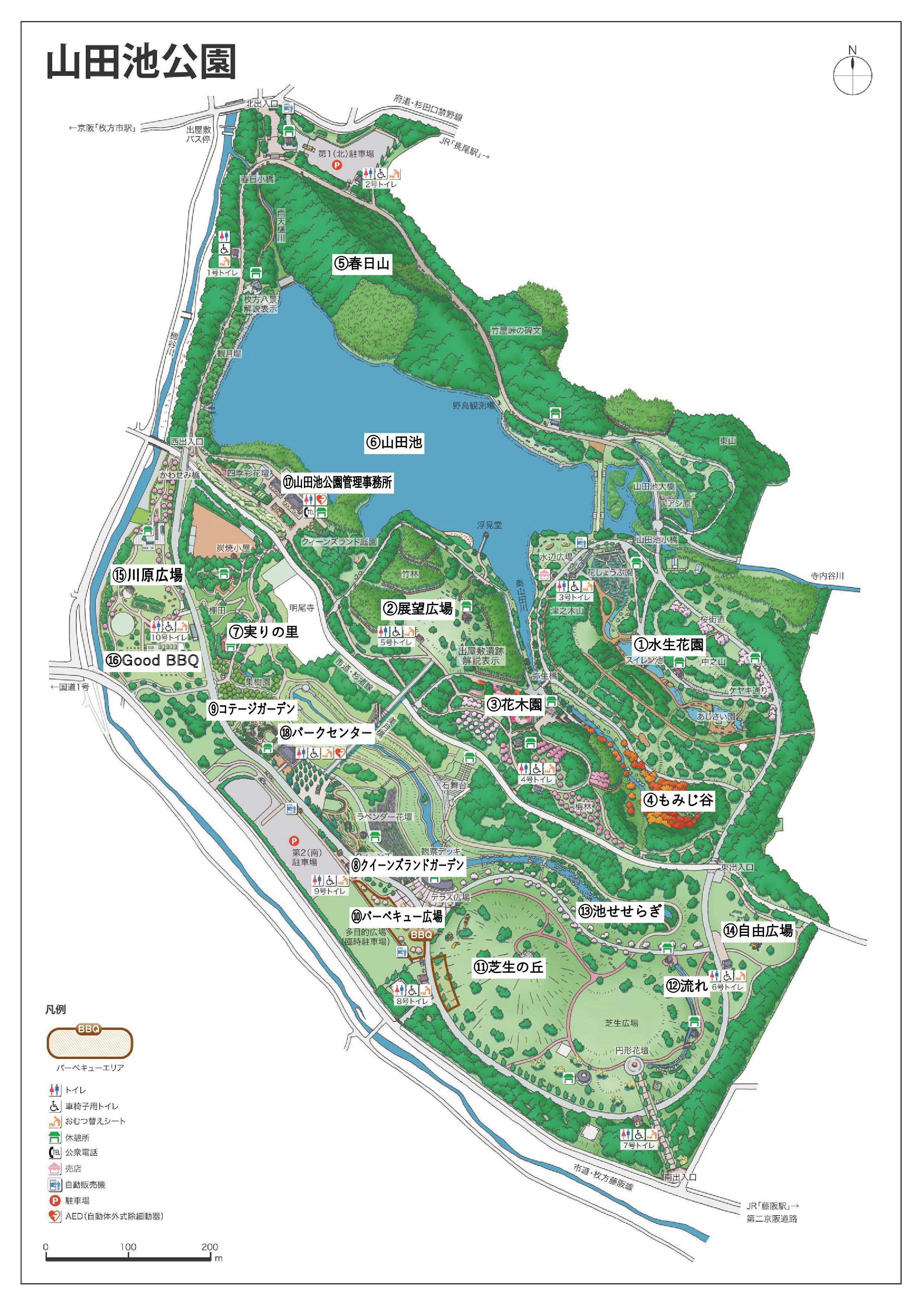 山田池公園の混雑・駐車場・Bbq完全攻略！2026年最新の現地徹底取材