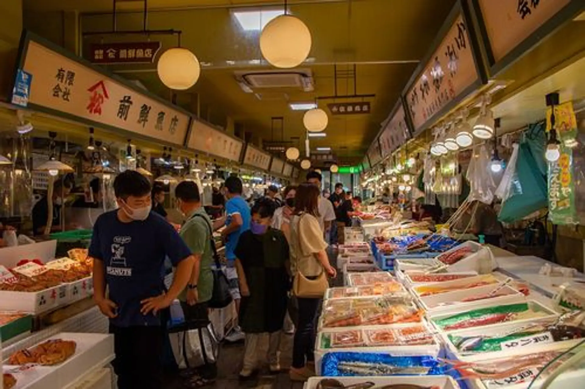 函館朝市より自由市場が選ばれる理由！極上海鮮丼とプロの裏技【2026】