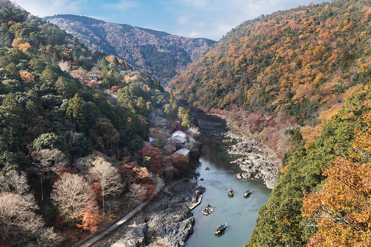 嵐山公園亀山地区の隠れた絶景と穴場散策ルート完全ガイド