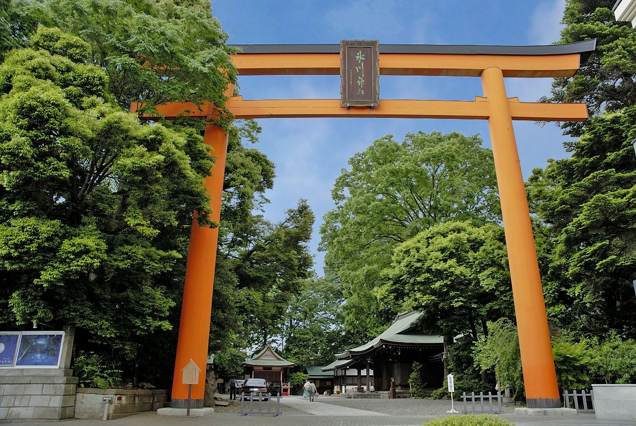 川越氷川神社なぜ人気？風鈴回廊と鯛みくじの魅力・混雑回避完全版