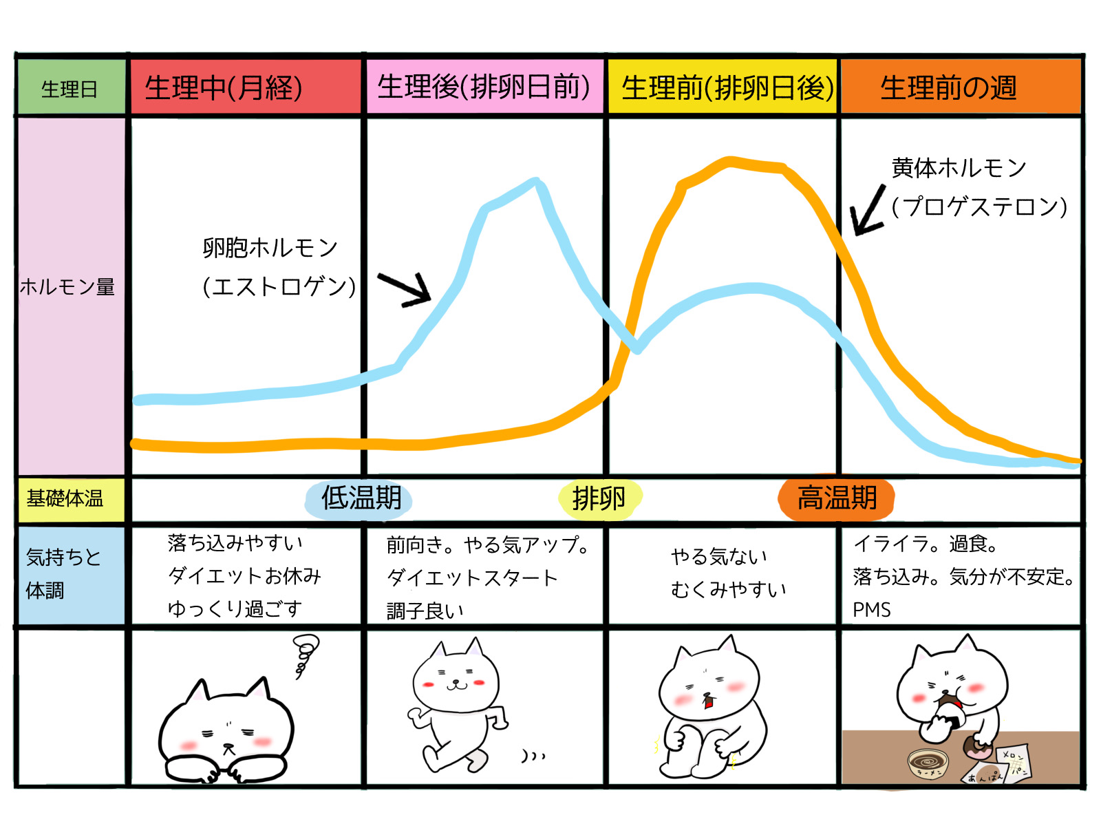 生理前の止まらない食欲と爆食を防ぐ！太らない食べ方と最新リセット術