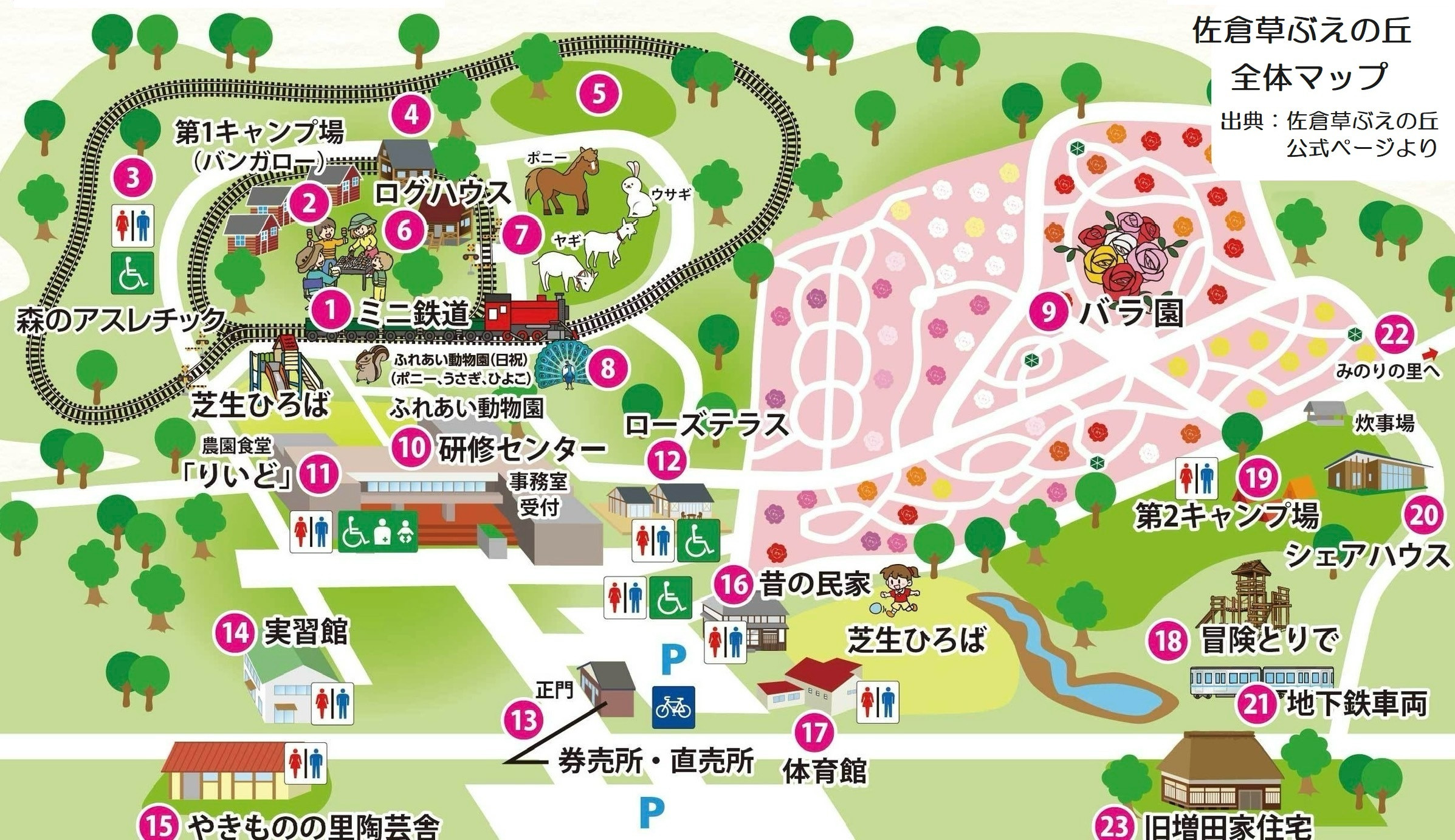 佐倉草ぶえの丘バラ園2026見頃と開花状況！世界基準の魅力徹底解説