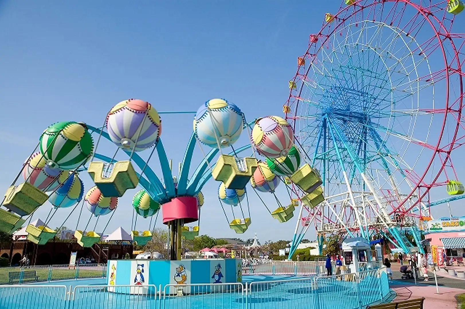 海の中道海浜公園が今話題の理由とは？2026最新見どころ＆混雑回避術