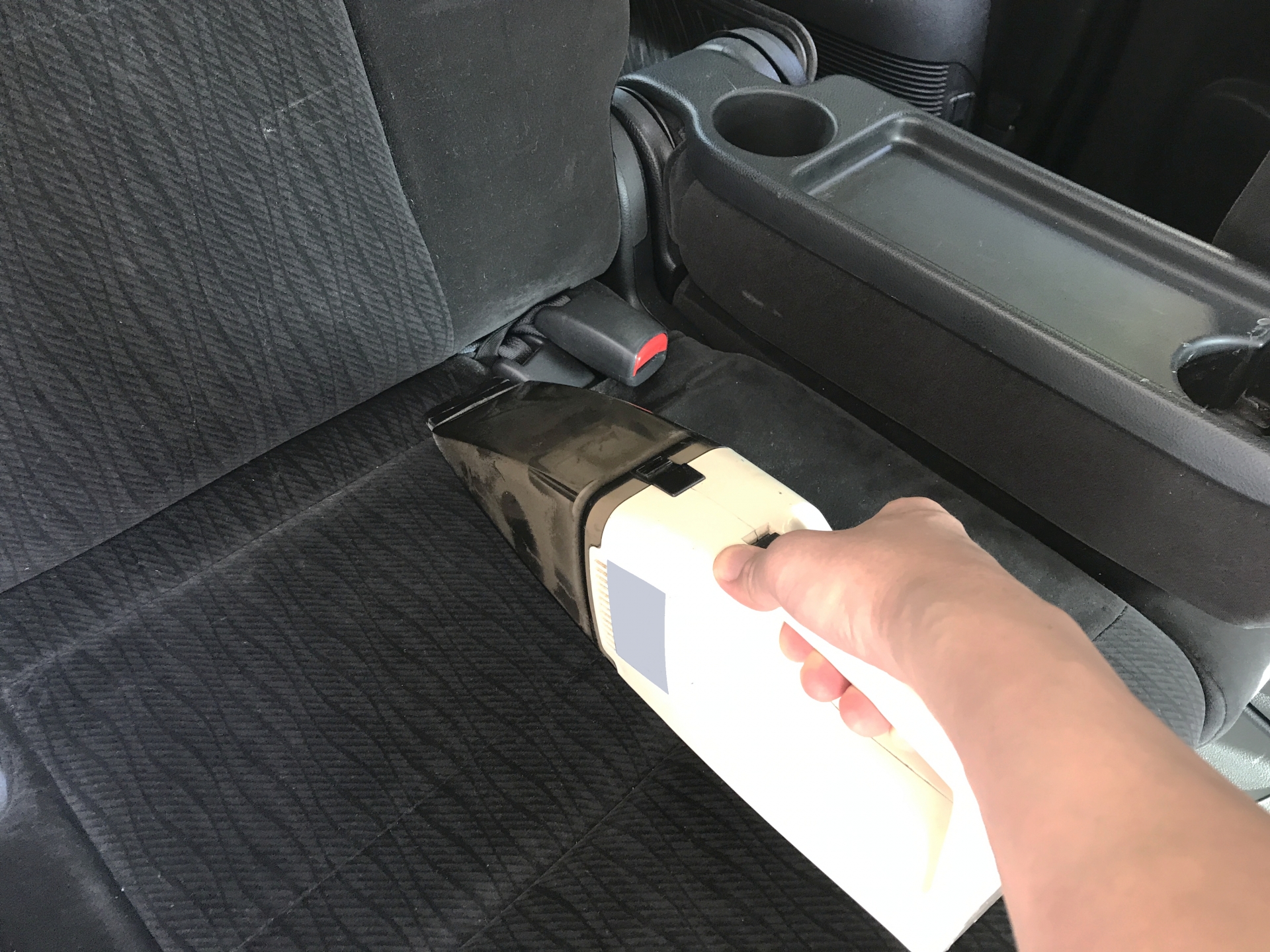 車の中にゴキブリが…見失ったらどうする？プロが教える即効駆除と巣対策