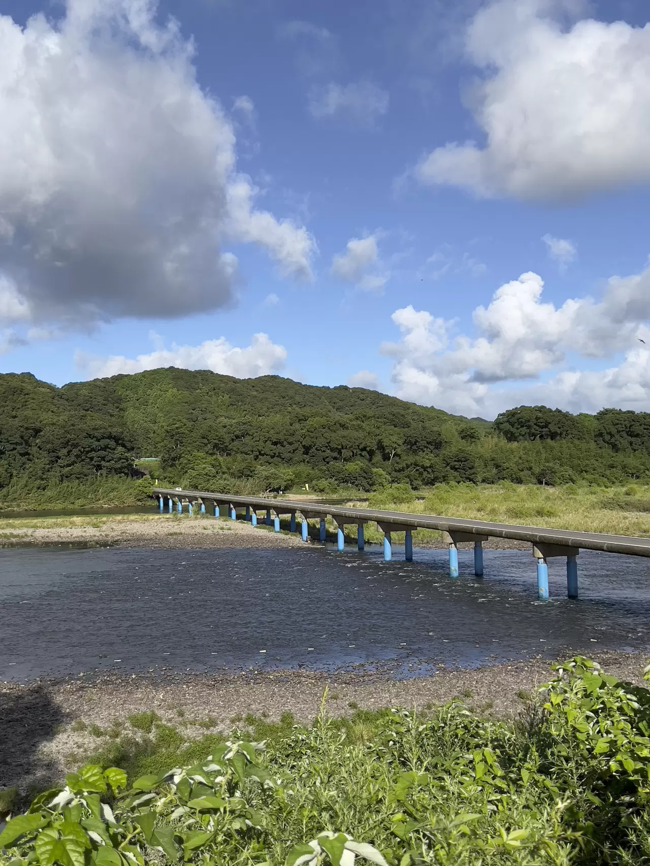 川越・今成橋の通行規制と架け替え工事の真相｜新河岸川の水位と迂回路検証