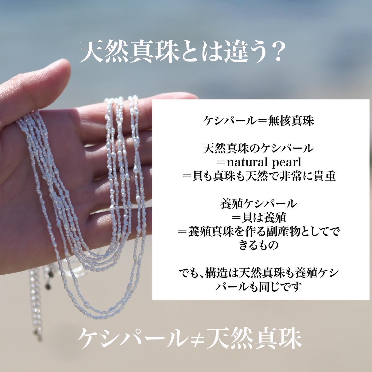 ケシパールとは？無核真珠の希少価値と後悔しない選び方【2026最新】