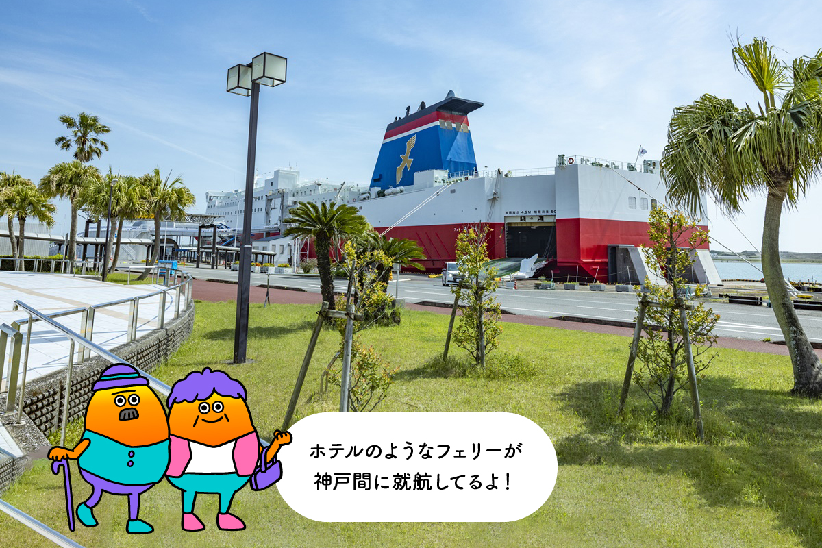 宮崎港フェリーターミナルの駐車場や神戸便受付を徹底解説【2026年最新】