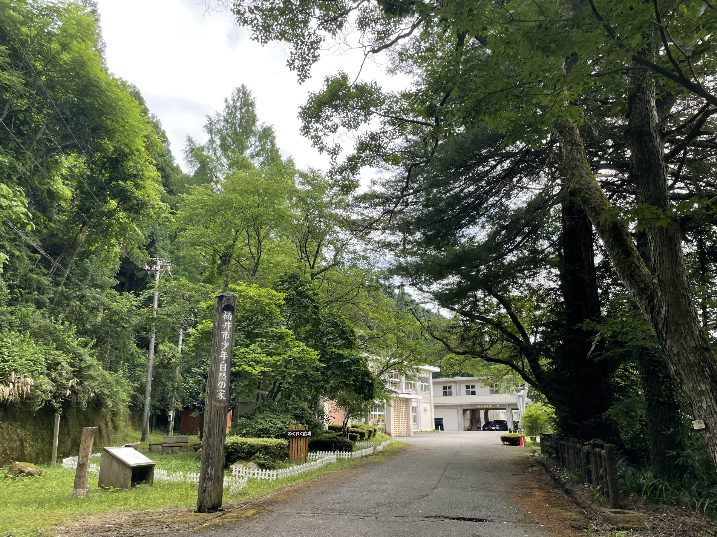 福井市少年自然の家は一般利用可能？料金や予約の実態と口コミ真相