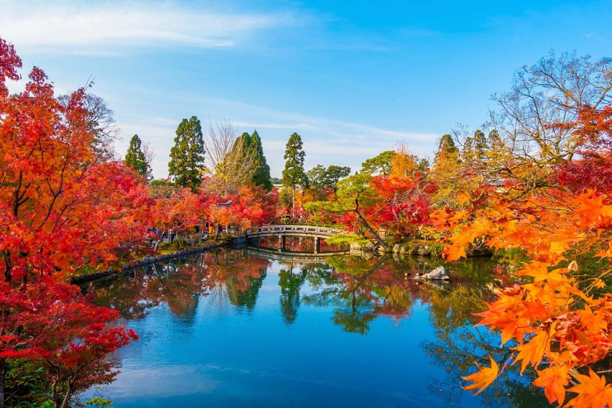 なぜ阿弥陀は振り返る？永観堂禅林寺の紅葉と歴史の真相【2026】
