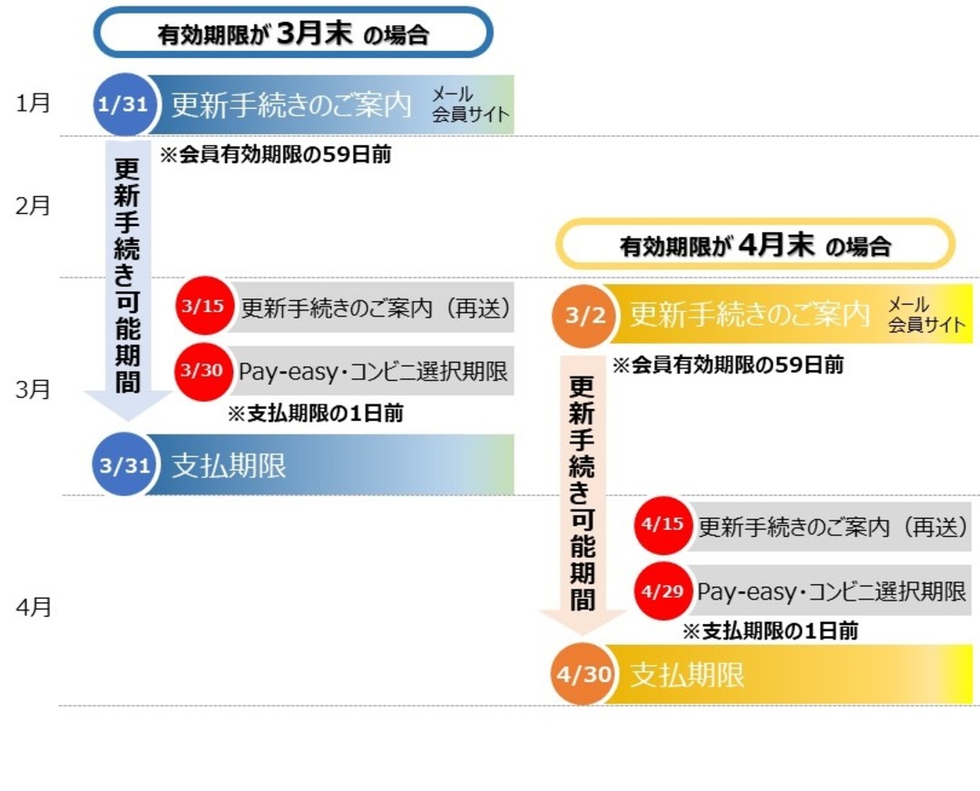 ジュニア情報局が急増する理由とは？2026年最新倍率と特典の全貌