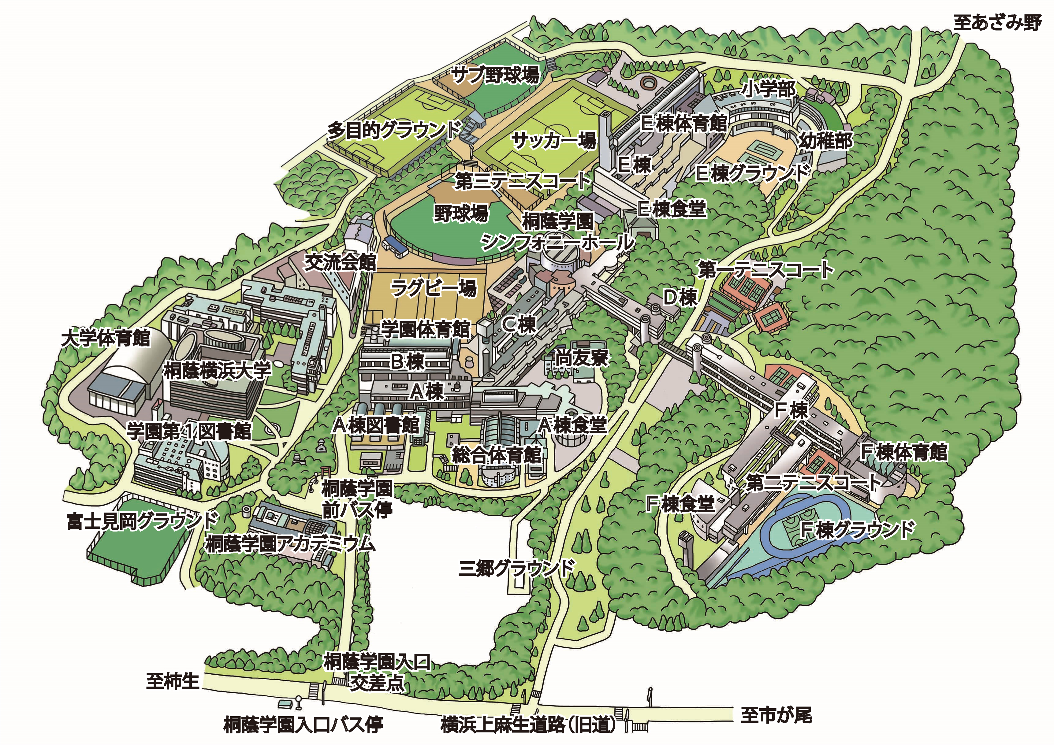 桐蔭学園の評判と進学実績は？共学化の真相と2026年最新の偏差値