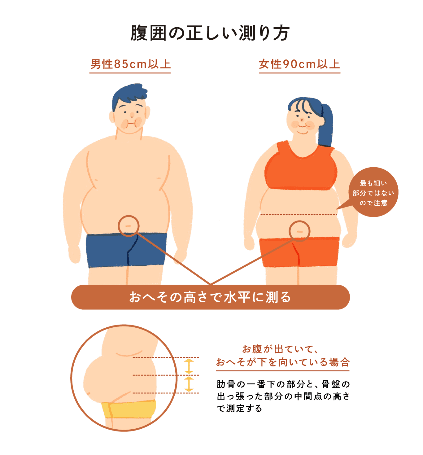 男性のメタボ腹囲85Cmはなぜ？女性との逆転理由と最速撃退術2026