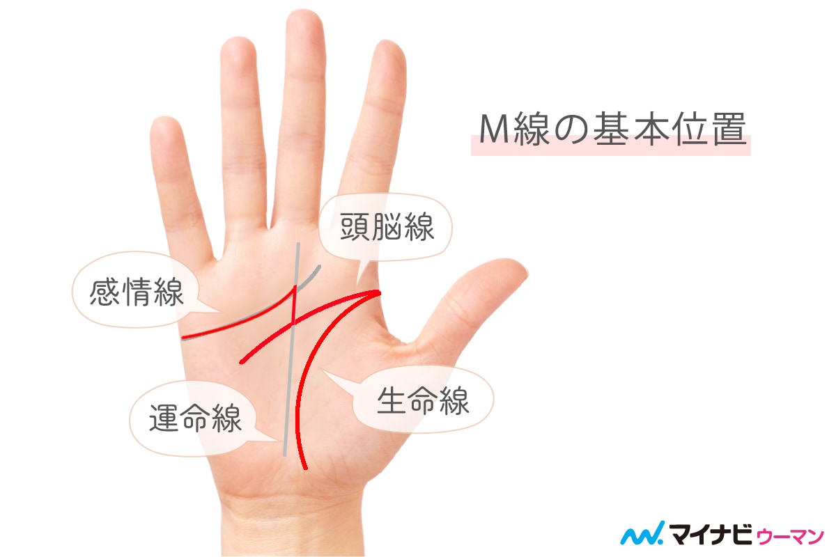 手相のM字線（ラッキーM）とは？右手左手の意味と確率を徹底解説
