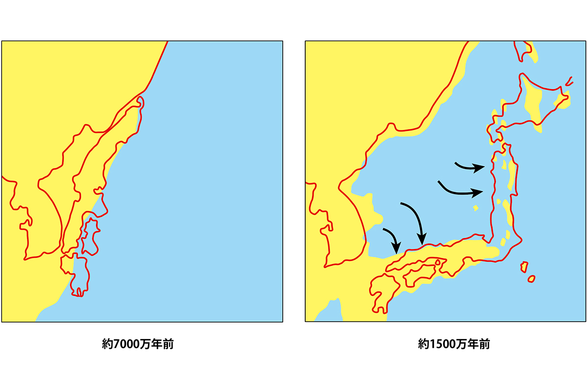 日本列島の成り立ちを完全解説｜大陸分裂とプレート激突の歴史年表と真相