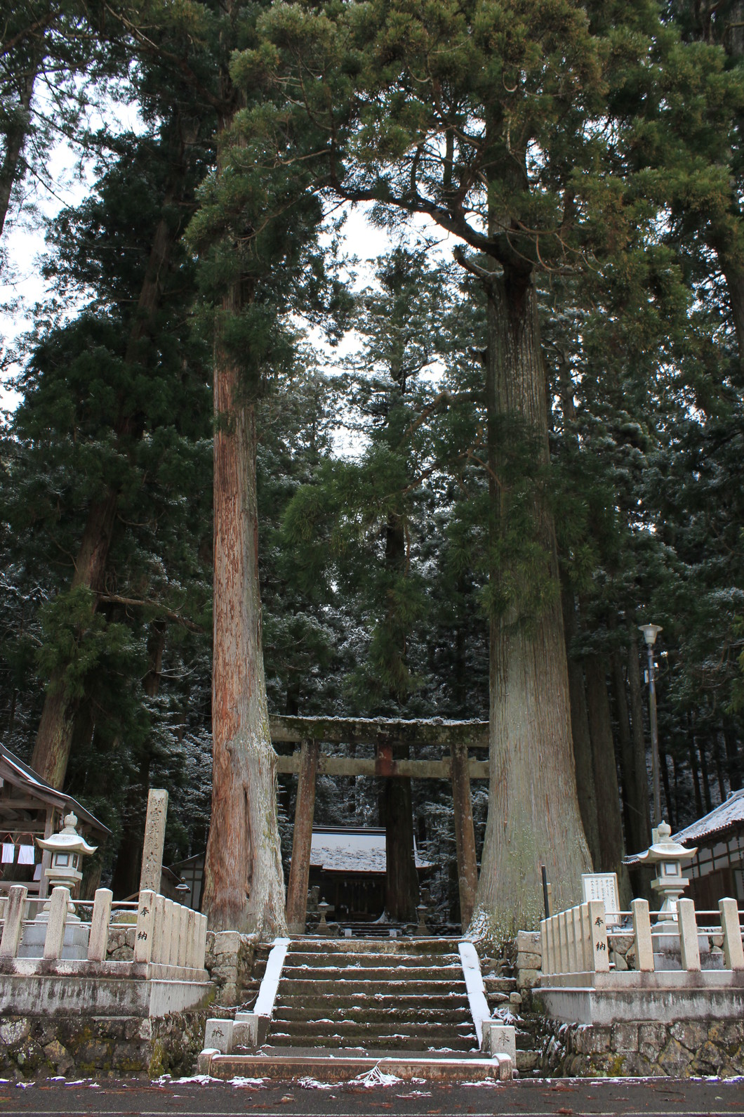 室生龍穴神社の不思議な体験と奥宮・吉祥龍穴の真相｜参拝作法とご利益を徹底取材