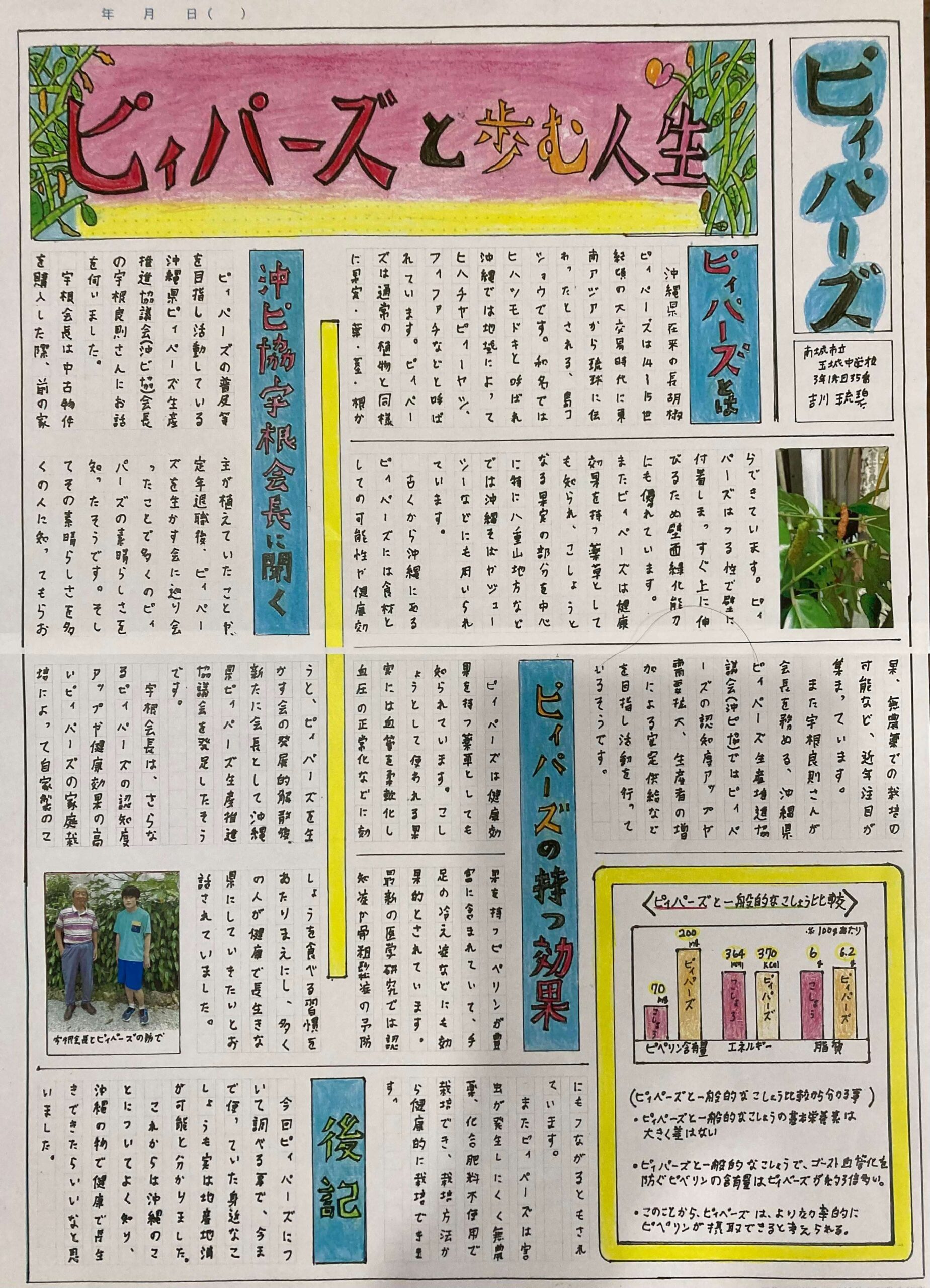 新聞社会面が暴く事件の真相と裏側｜2026年最新の深層報道を徹底解剖