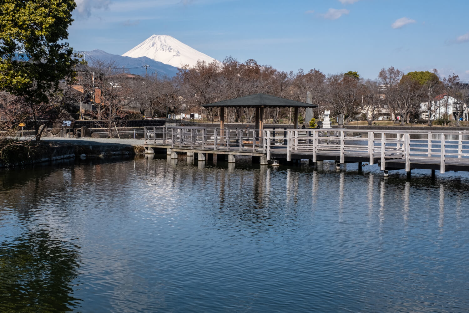 駿東郡清水町はなぜ合併しない？住みやすさと移住人気の真相【2026】