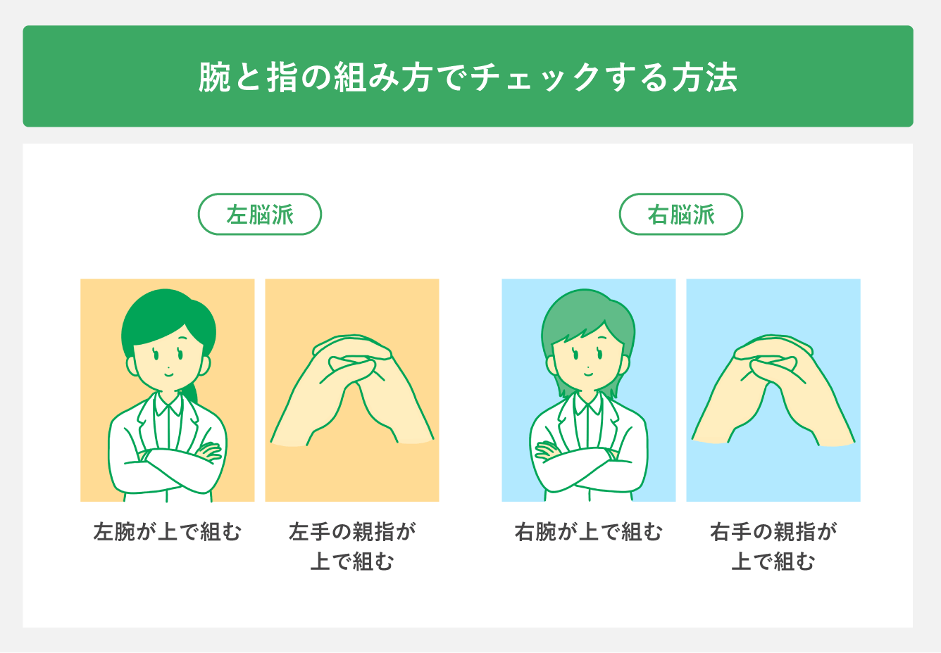 左脳派とは？論理派の特徴・右脳派との違いと手の組み方診断を徹底検証